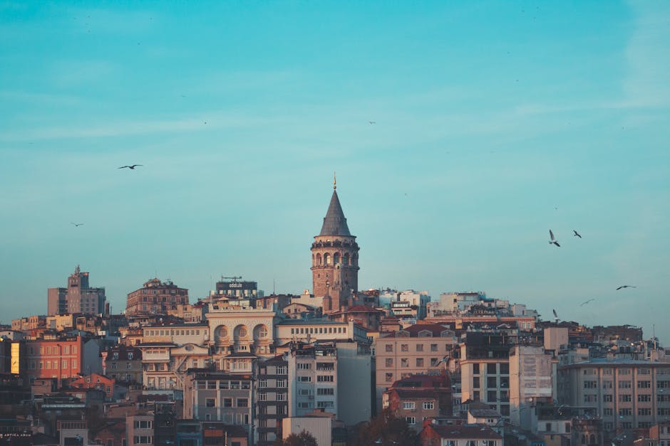 Bahis mekanında çekim yaparken kullanılan stratejileri ve kazanç fırsatlarını gösteren görsel.