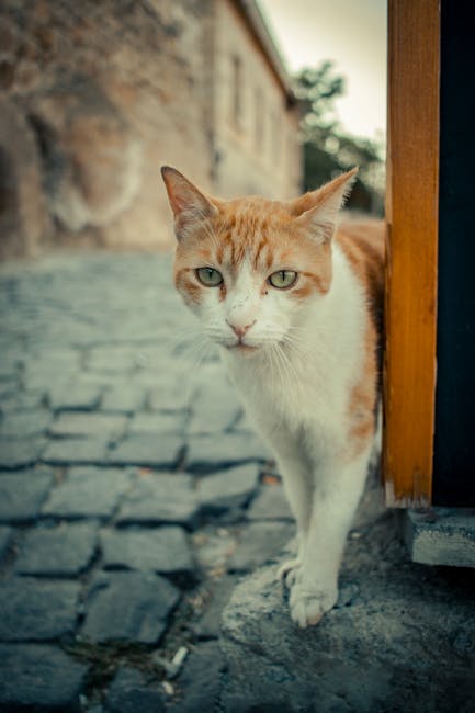 Yeni bahis mekanı canlı, heyecan verici oyun alanları ve eğlenceli fırsatlarla dolu bir atmosfer sunuyor.
